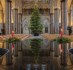 Christmas Tree inside Salisbury Cathedral