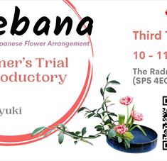 Christmas flowers in Japanese style - ikebana for complete beginners