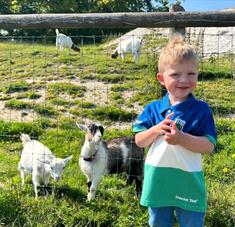 February Half-Term Fun on the Farm - 15th - 23rd February