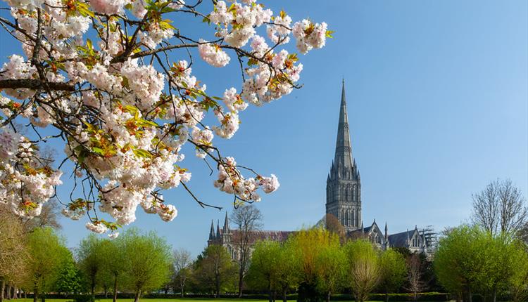 Coronation Celebrations at Salisbury Cathedral