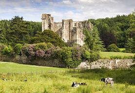 Old Wardour Castle
